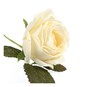 Single Cream Rose Pick 13cm image number 3