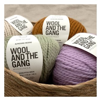 Wool and the Gang Eucalyptus Green Alpachino Merino 100g image number 4