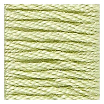 DMC Green Mouline Special 25 Cotton Thread 8m (015) image number 2