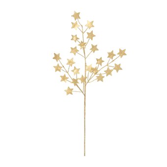 Gold Star Stem 62cm