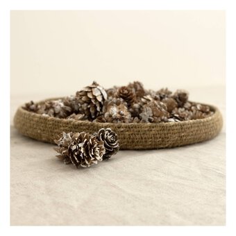 Small White Wash Pinecones 110g