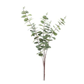 Eucalyptus Stem 1m