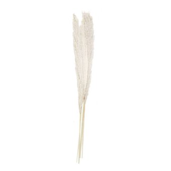 White Craft Feathers 5g