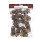 Pinecones 200g image number 6