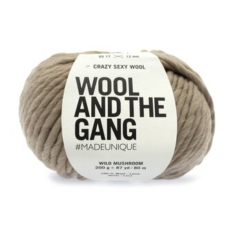 Wool and the Gang Wild Mushroom Crazy Sexy Wool 200g