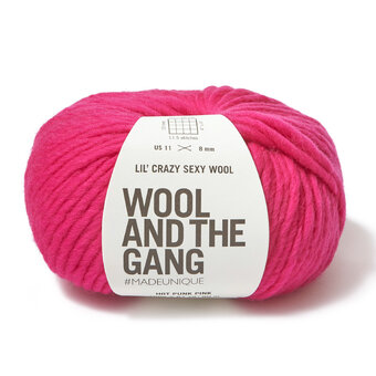 Lil' Crazy Sexy Wool Bundle - 6 balls