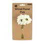 White Daisies 6 Pack image number 5