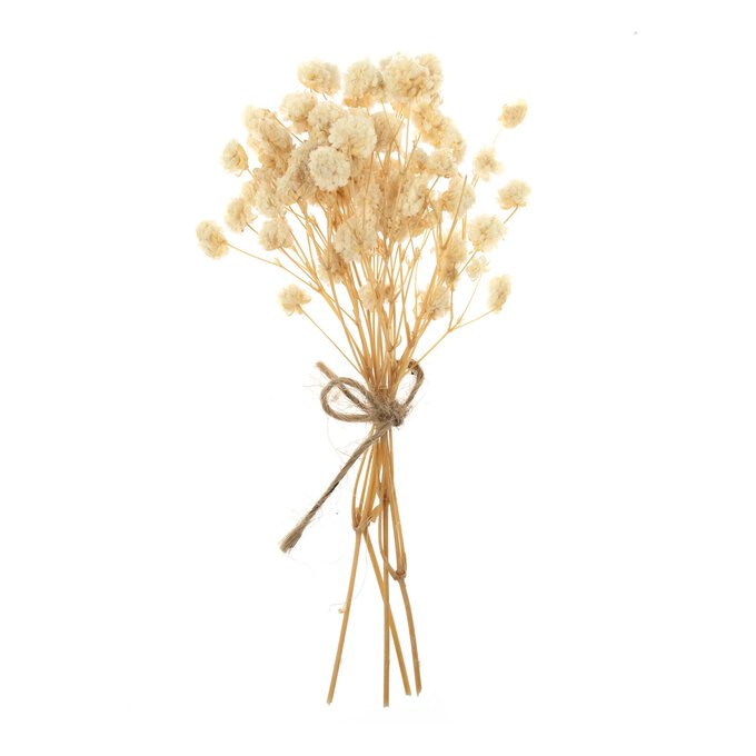 Natural Dried Gypsophila Flower Picks 13cm image number 1