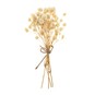 Natural Dried Gypsophila Flower Picks 13cm image number 1