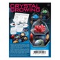 Red Crystal Growing Kit image number 4