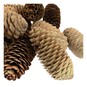 Pinecones 200g image number 4