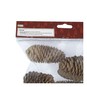 Pinecones 200g image number 7