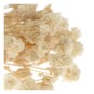 Natural Dried Gypsophila Flower Picks 13cm image number 3