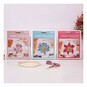 RHS Amaryllis Cross Stitch Kit 5 Inches image number 3