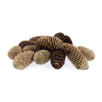 Pinecones 200g