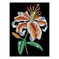 Kitfix Tiger Lily Sequin Art Kit image number 5