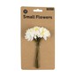 White Sun Daisies 12 Pack  image number 5