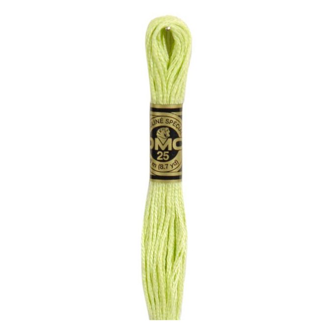 DMC Green Mouline Special 25 Cotton Thread 8m (015) image number 1