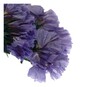 Purple Dried Forget Me Not Flower Picks 13cm image number 3