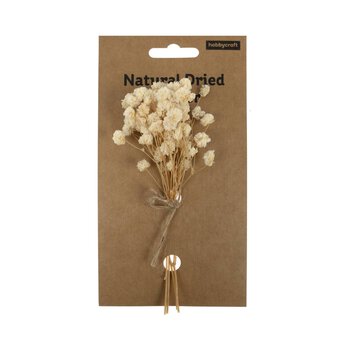 Natural Dried Gypsophila Flower Picks 13cm image number 5