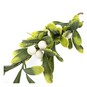 Small Hanging Mistletoe 31cm image number 3