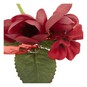 Red Finished Buttonhole Pick 16cm image number 3