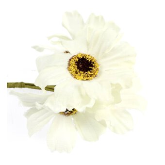 White Daisies 6 Pack image number 3