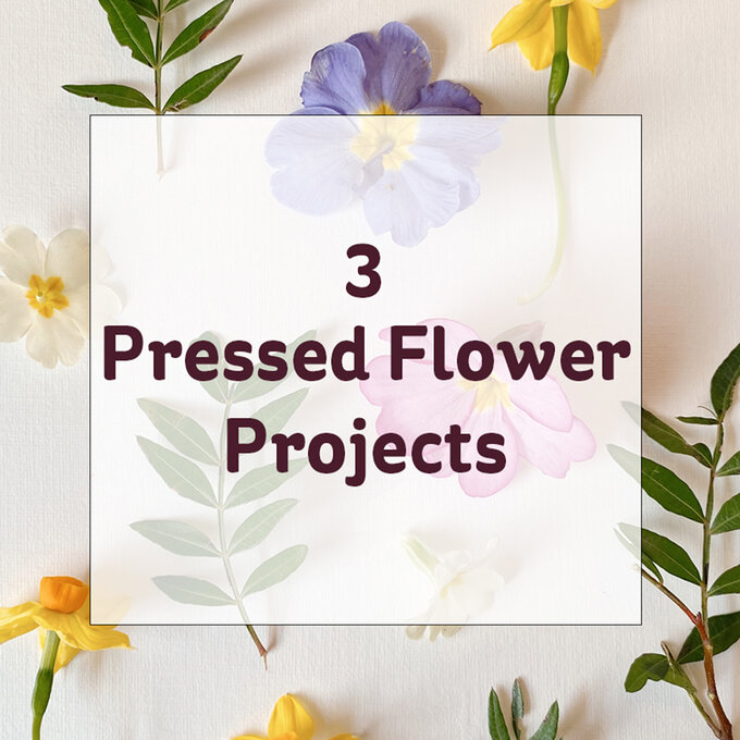 Pressed Flower Projects! 