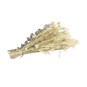 Natural Dried Buttonhole 14cm image number 4