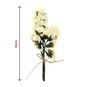 White Dried Forget Me Not Flower Picks 13cm image number 4