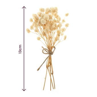 Natural Dried Gypsophila Flower Picks 13cm image number 4