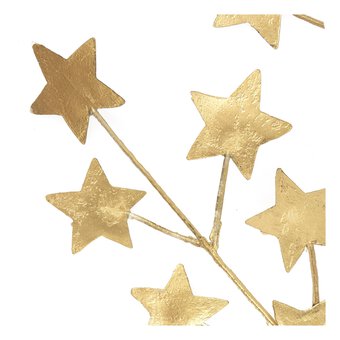 Gold Star Stem 62cm image number 3