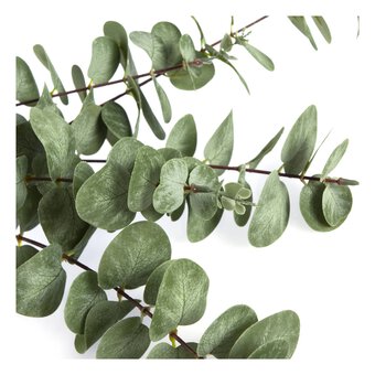 Eucalyptus Stem 1m