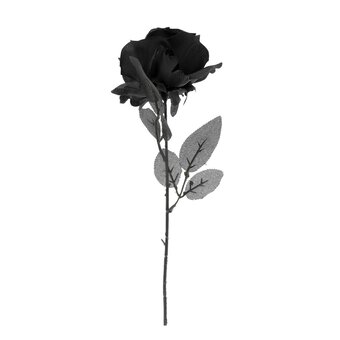 Black Rose Pick 52cm