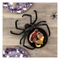 Black Spider Plate 24cm image number 4