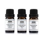 Zest Candle and Soap Fragrance 10ml 3 Pack image number 1