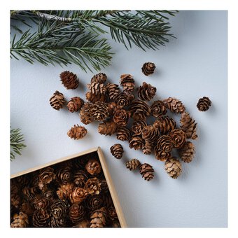 Small Natural Pinecones 110g