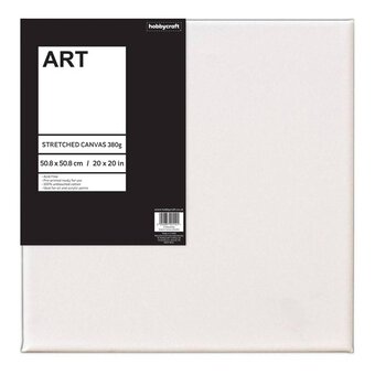 5 Pack Blank Artists Paint Cotton Canvas Boards 50x40cm (12 x 16) - A3  Canvas for Painting Pre Stretched : : Home & Kitchen