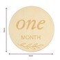 Wooden Baby Milestone Plaques 12 Pack  image number 4