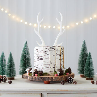 How to Make a Stag Cake