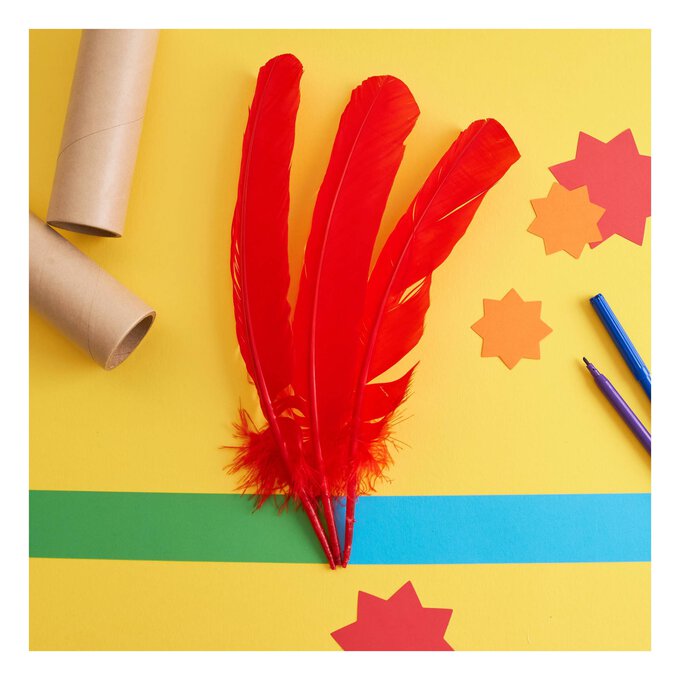 Pop! Red Feathers 12pc - Kids Craft Basics - Kids