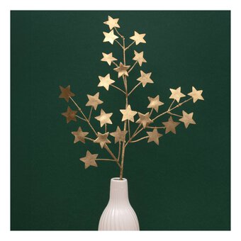 Gold Star Stem 62cm