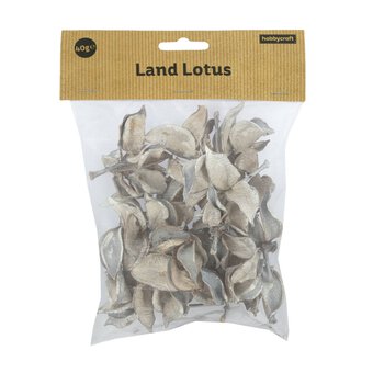 White Wash Landlotus 40g image number 5