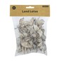 White Wash Landlotus 40g image number 5