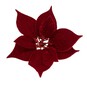 Red Poinsettia Clip 20cm image number 2