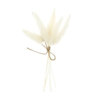 Natural Bunny’s Tail Grass 13cm