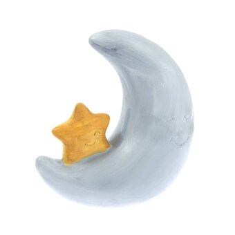 Paint Your Own Moon and Star Money Box image number 2