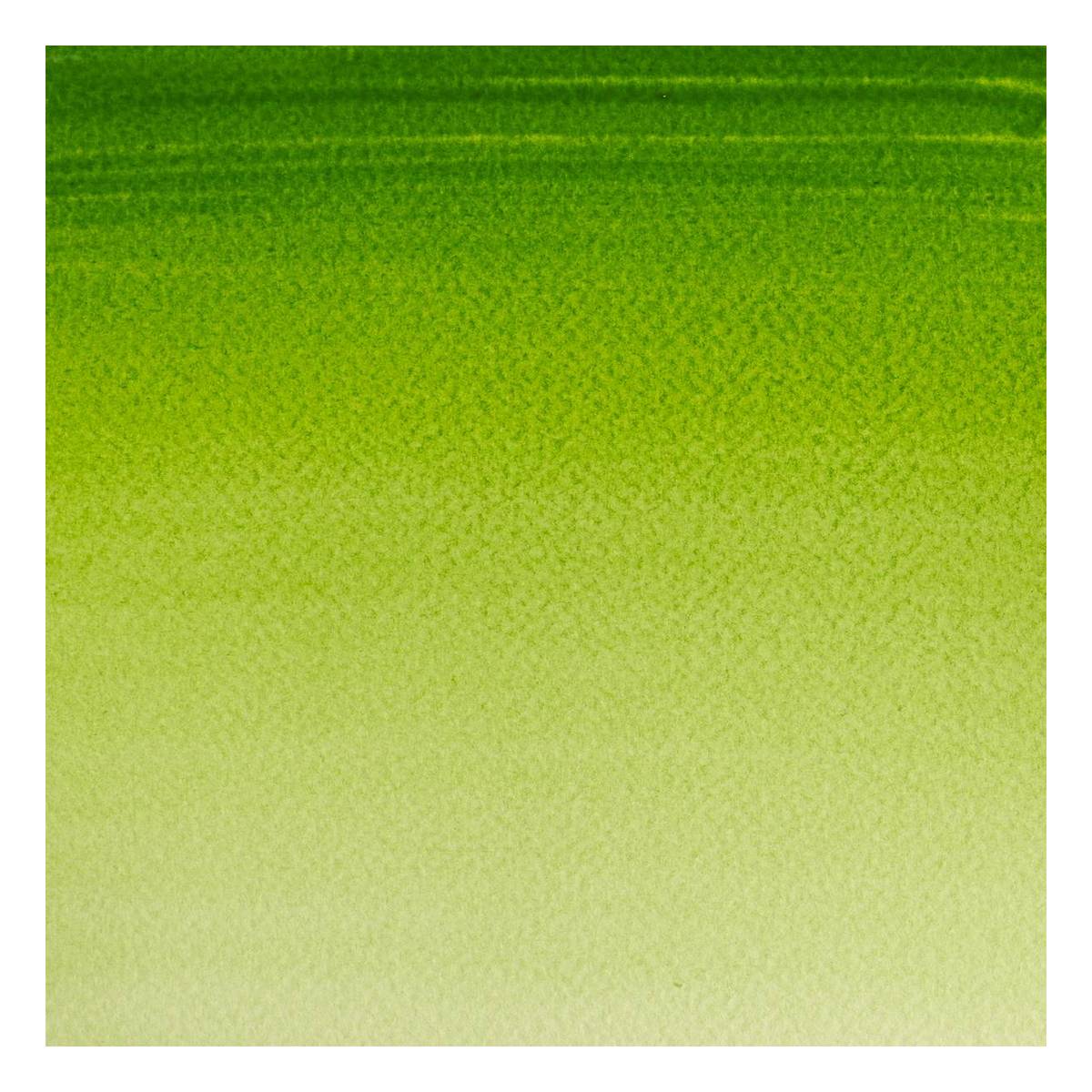 Winsor & Newton Cotman Sap Green Watercolour Half Pan