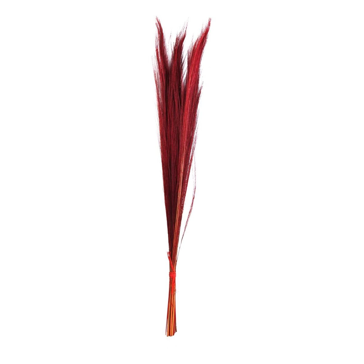 Red Broom Grass Bunch 100cm | Hobbycraft