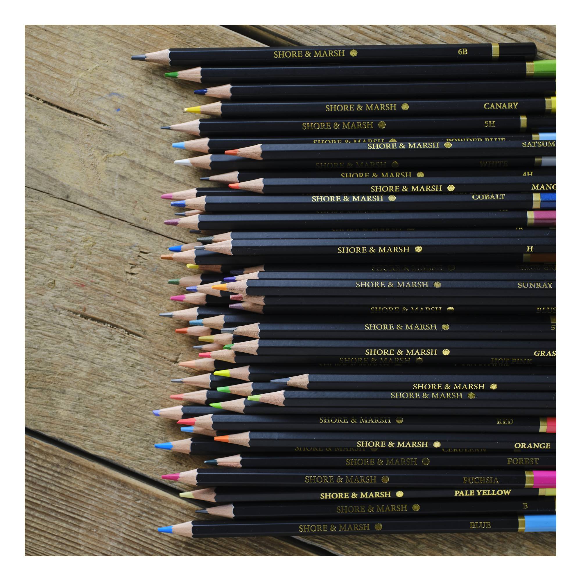Shore & Marsh Assorted Colouring Pencils 36 Pack